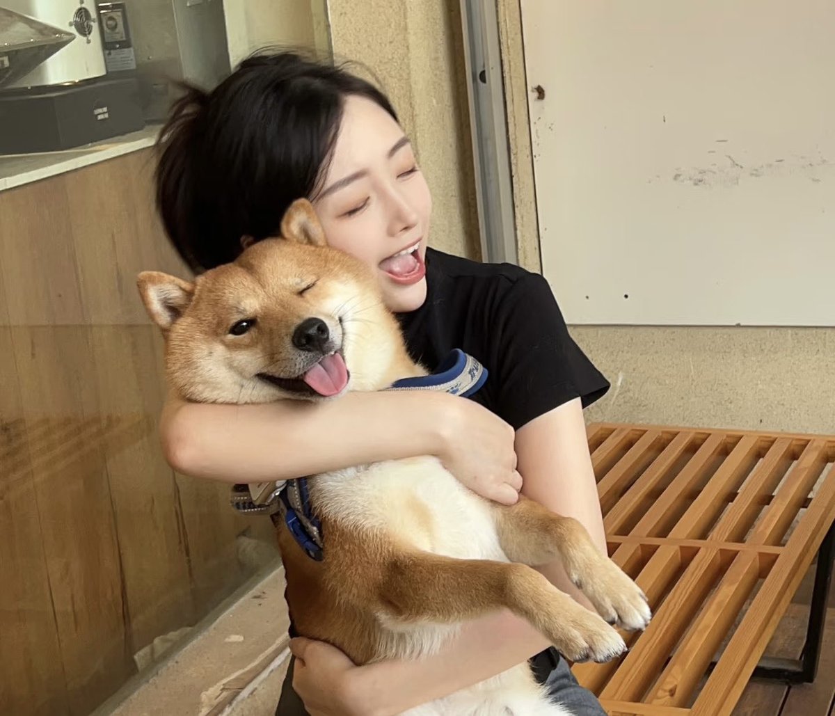 petslove77's tweet photo. Hugging a happy Shiba, doubling the joy today! ☺️☺️
#ShibaInu #HappyMoments #DogLover #CutePets #DoubleTheJoy #FurryFriend #HugTime https://t.co/lkwEWyJgpW