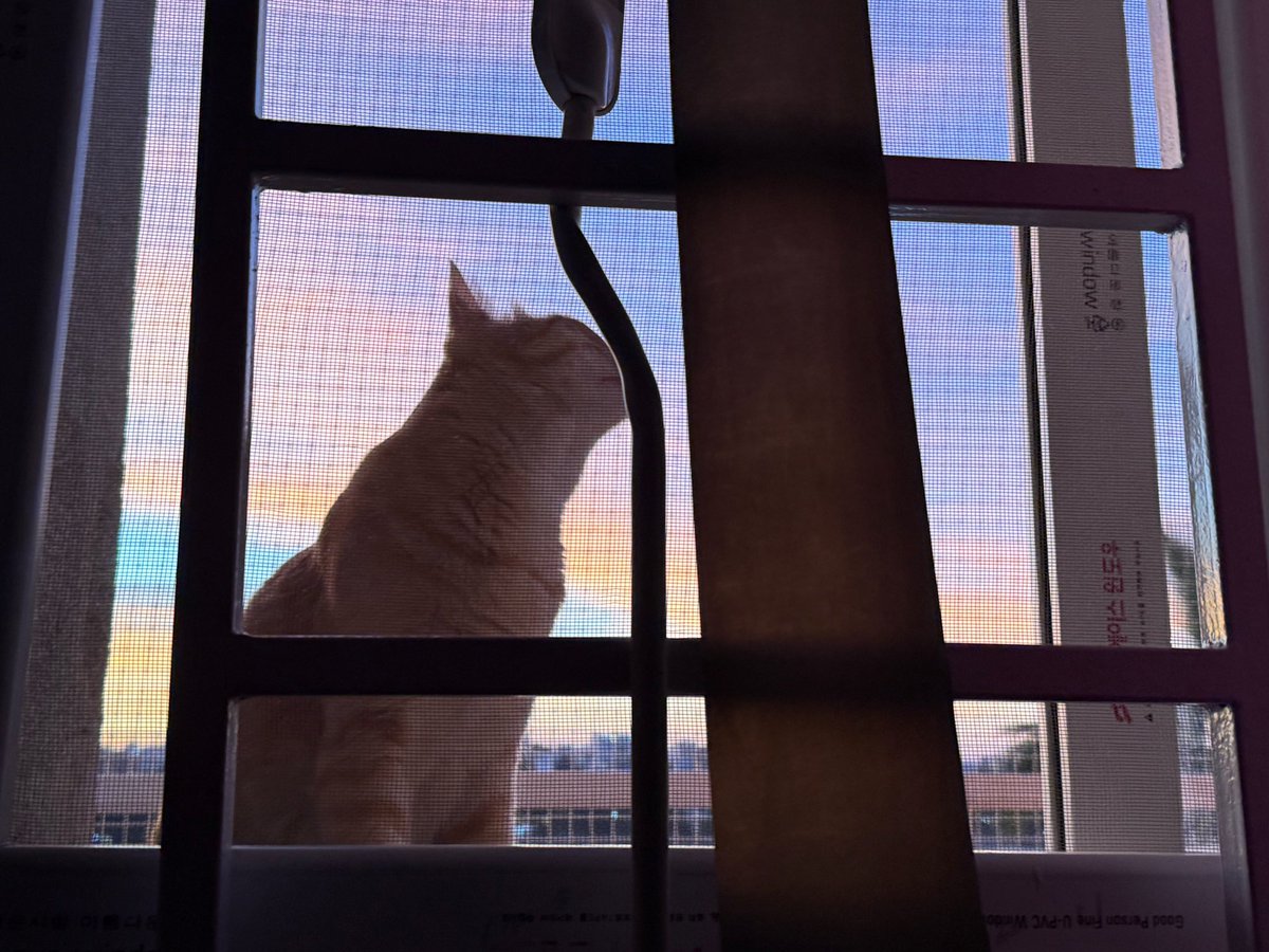 AceAmarX's tweet photo. Mugesh in the new house https://t.co/3EYifKdq4f