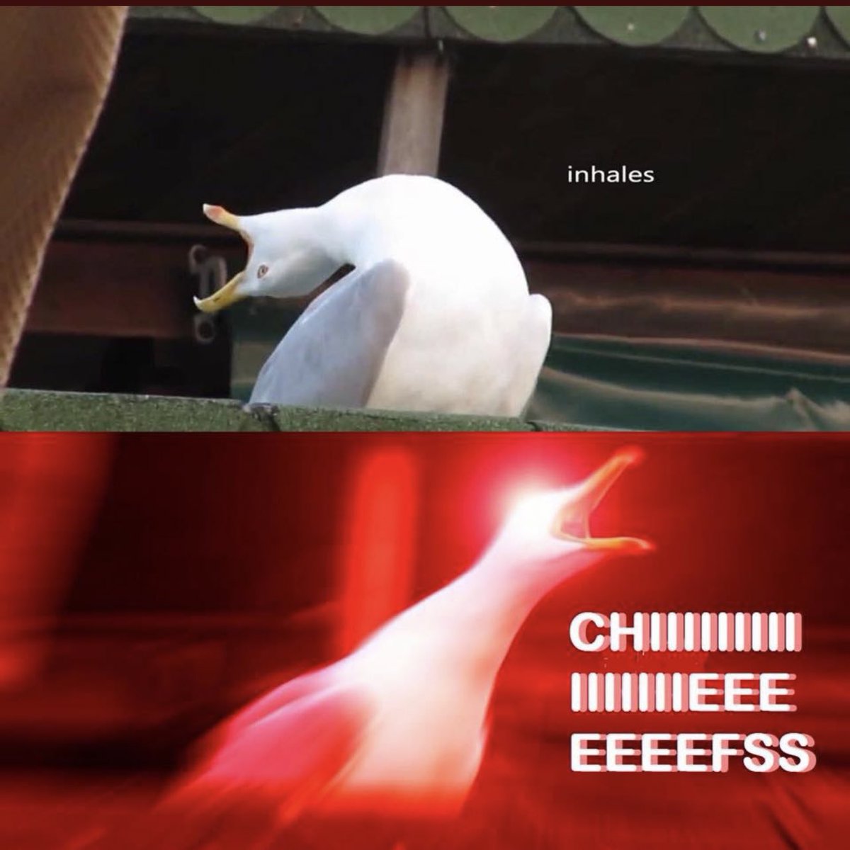 KANSAS CITY IS GOING TO ANOTHER SUPERBOWL 🗣️‼️🗣️‼️🗣️‼️