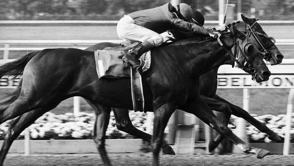 Windoctorrx's tweet image. For those who know Horse Racing.
Kansas City = Affirmed 
Buffalo = Alydar

#BuffvsKC 
#ChiefsKingdom