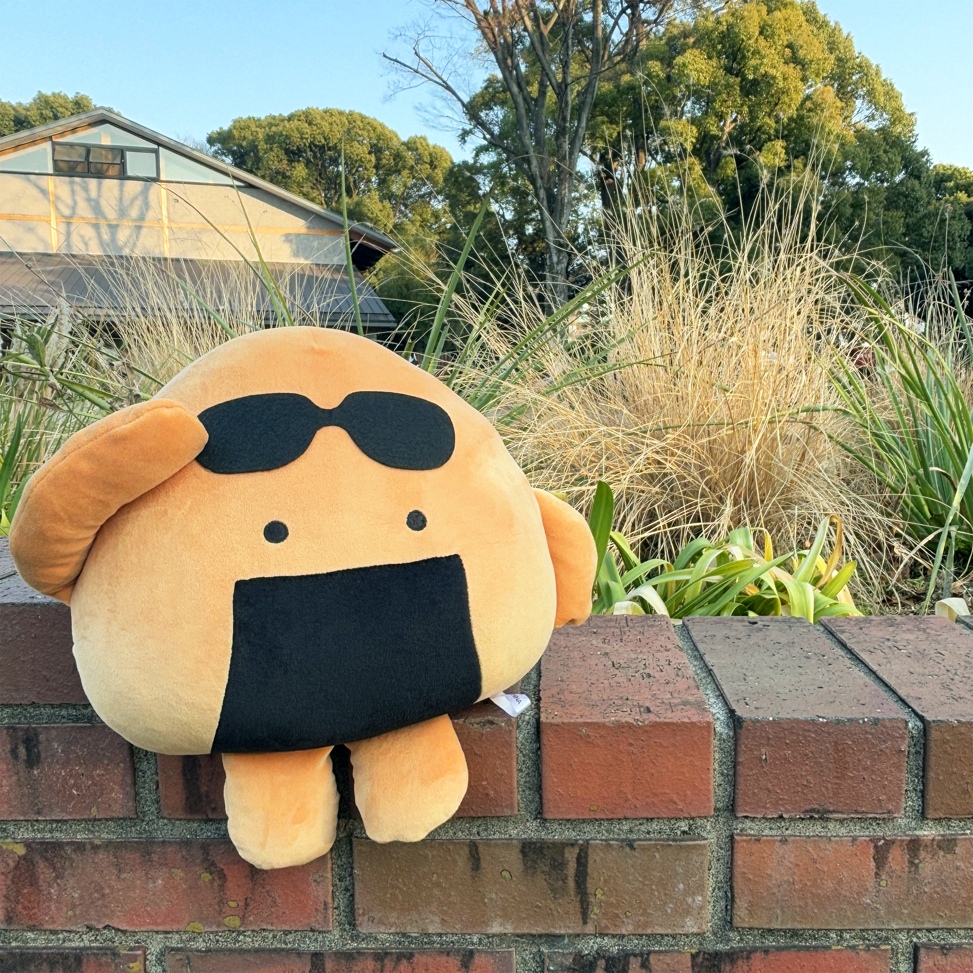 おにうめ STAFF on X: おにうめ STAFF on X: