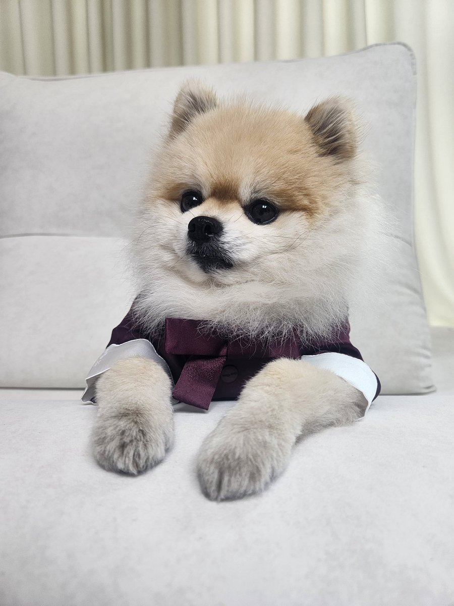둥이 한복 입은거임??? 몬가 재질이ㅋㅋㅋㅋㅋㅋㅋㅋㅋ ㅠㅠ 너무 커염따