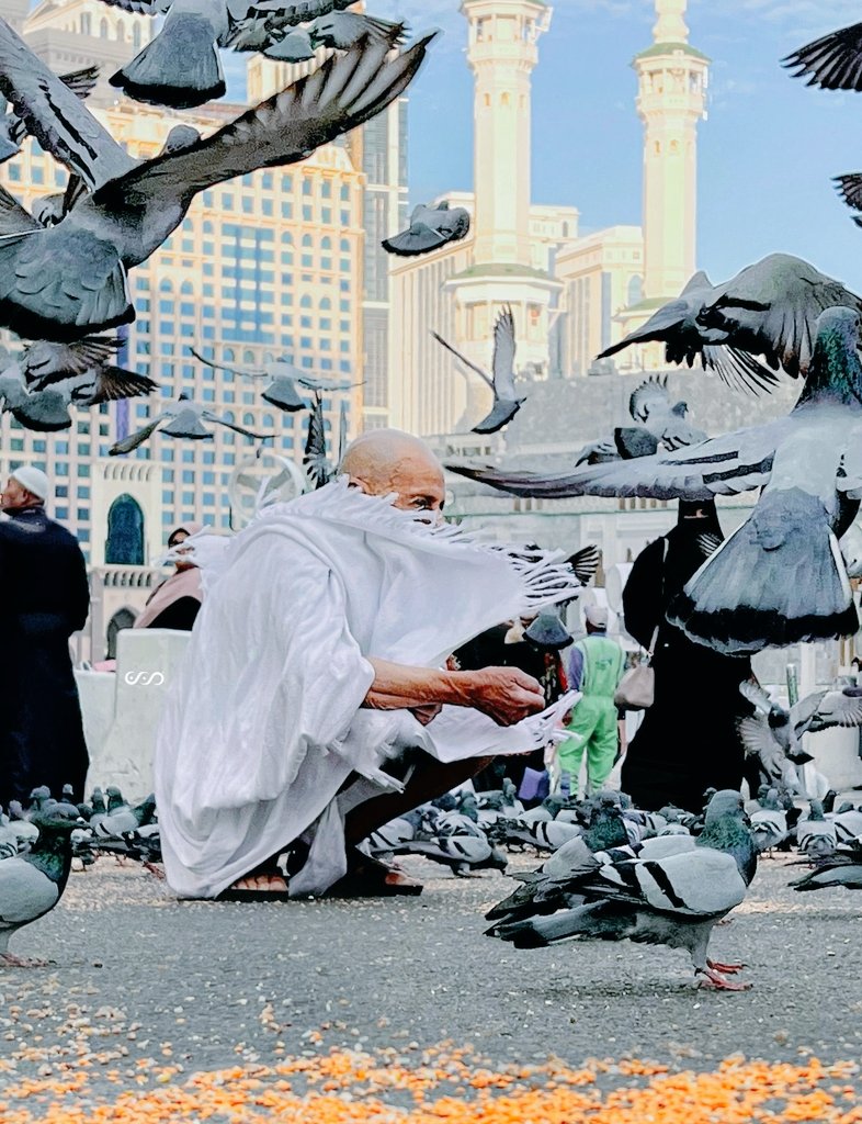 #AsslamuAllekum
#GoodMorningTwitterWorld 
रसूल अल्लाह ﷺ ने फ़रमाया : "मोमिन अपनी अच्छे  अख़लाक़ी से रोज़ेदार और रात को क़ियाम (तहज्जुद पढ़ने) वाले का दर्जा पा लेता है #Shams_T <a href="/IMshamstrz/">Shams Tabrez شمس تبریز</a>