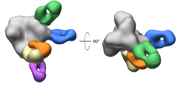 LabWaggoner's tweet photo. Vaccination with mRNA-encoded membrane-bound HIV Envelope trimer induces neutralizing antibodies in animal models @profshanecrotty #Schief
https://t.co/Y8NHV7xEAG https://t.co/89nYuMZ11o