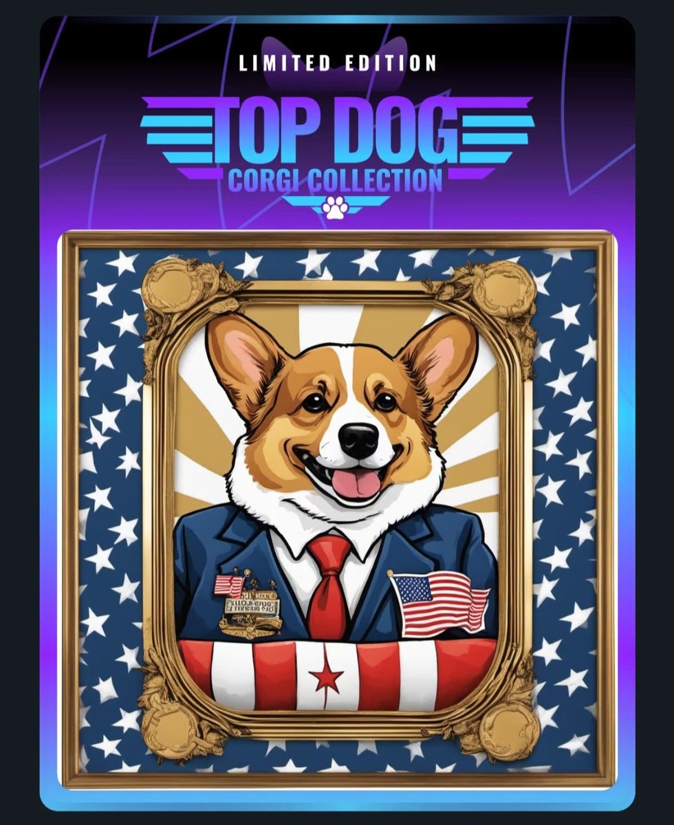 TarcsioBarcell2's tweet photo. @corgiaiclub $TRUMP #CORGIAI #Woofgang https://t.co/W6BMSHd316