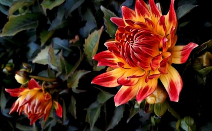 GotchaArt's tweet photo. Art of the Day: "Chrysanthemum Flower". Buy at: https://t.co/QqohMvcFlC https://t.co/JfuywXgEou