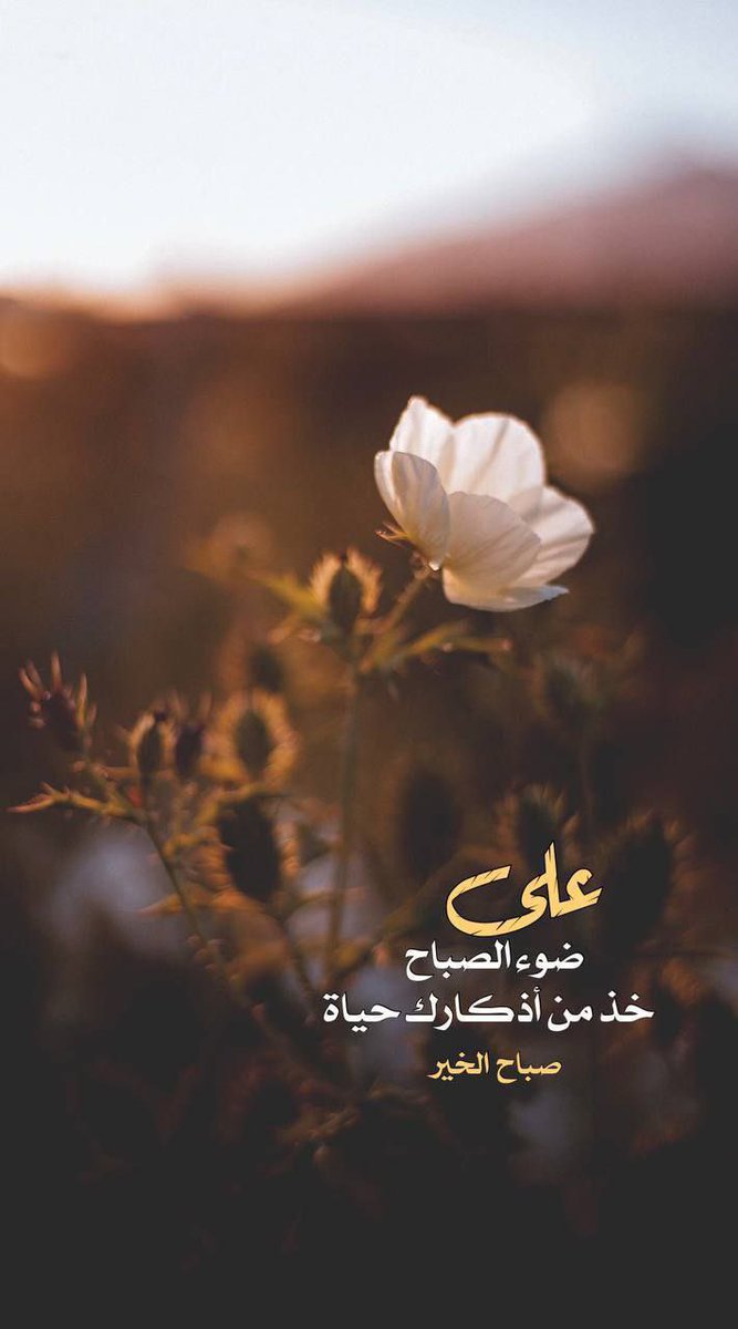 s_13977's tweet photo. #صباح_الخير  { تِلْكَ الدَّارُ الْآخِرَةُ نَجْعَلُهَا لِلَّذِينَ لَا يُرِيدُونَ عُلُوًّا فِي الْأَرْضِ وَلَا فَسَادًا ۚ وَالْعَاقِبَةُ لِلْمُتَّقِينَ } صعد إلى السماء السابعة ثم عاد إلى الأرض يخصف نعلهُ ، ويحلب شاته ويأكل مع المساكين .. هكذا هم الكبار كلما ارتفعوا تواضعوا ! https://t.co/qXaxOZnJLt