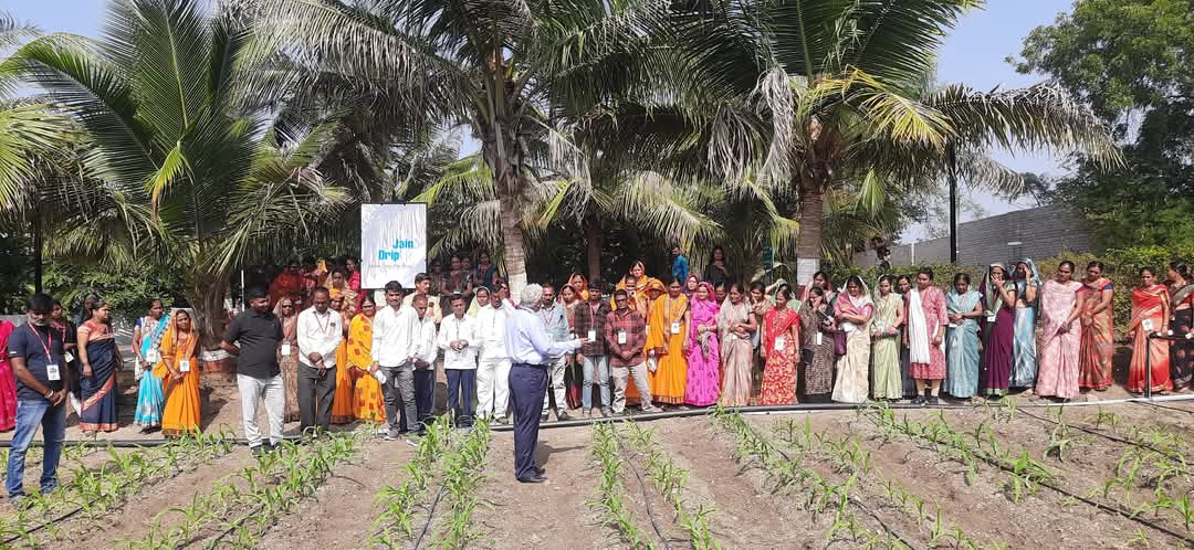 BDJade1's tweet image. अब चर्चा तो होगी !
चर्चा मे है मक्का फसल !!
सारी ओर मक्का है चर्चा मे...
किसानोंकी उम्मीद !!!
मक्का उपज १०० कुंतल प्रती एकड |
जुडीए हमसे और जानीए बहुत कुछ|
- डॉ.बी डी जडे, 
वरीष्ठ कृषी वैज्ञानिक,
जैन इरीगेशन सिस्टीम्स लि.
#AjitJisl #Anil_JISL #JainIrrigation 
#DDKisan #DDSahyadri