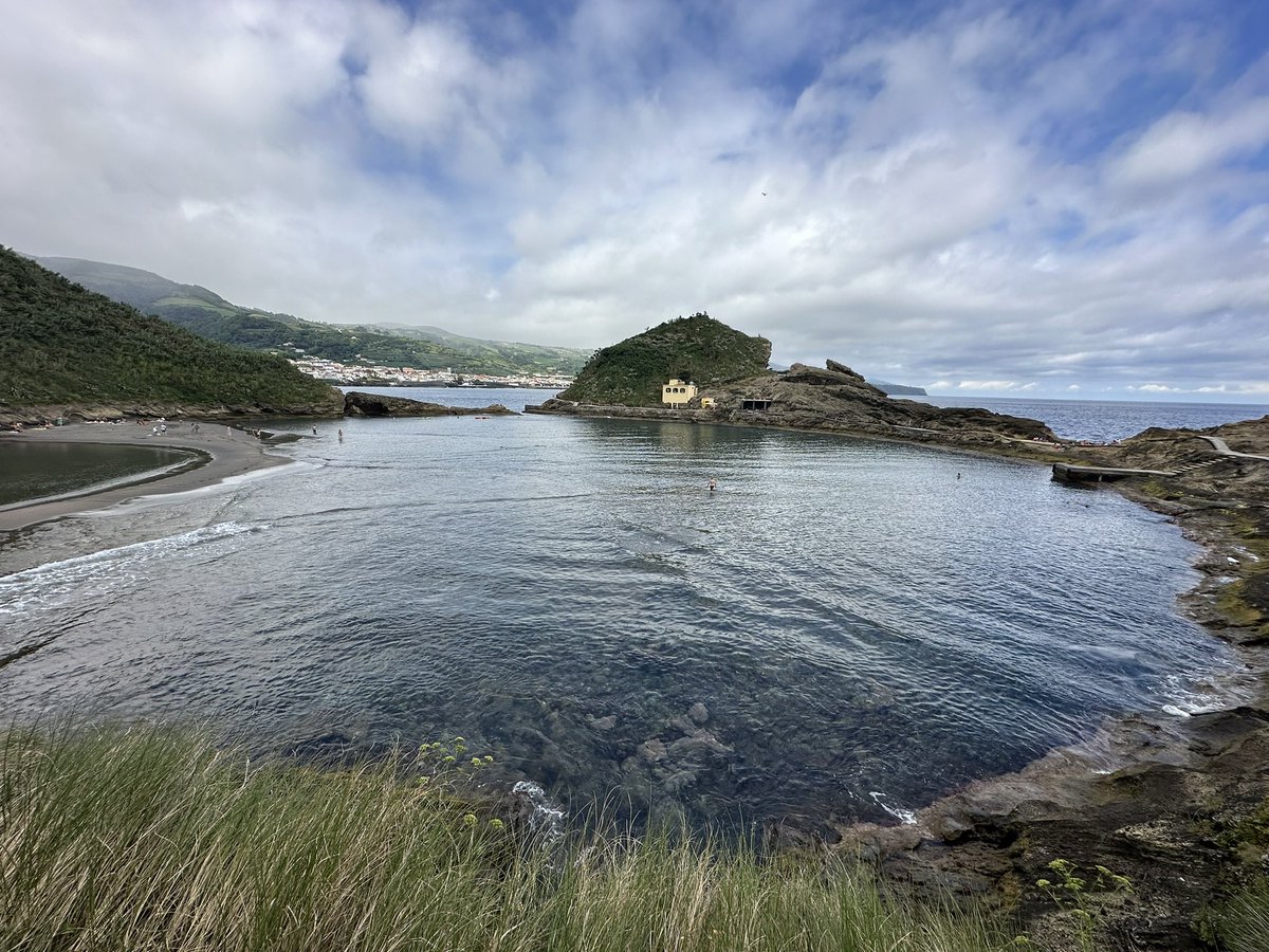 Marcus Alzona tweet media