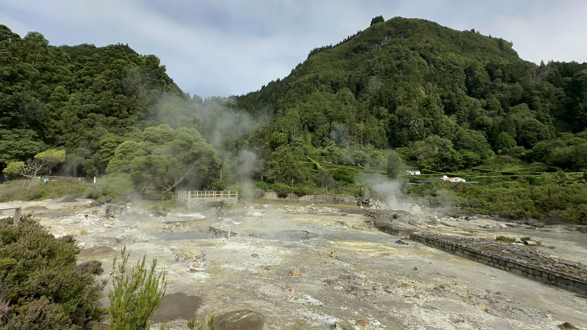 Marcus Alzona tweet media