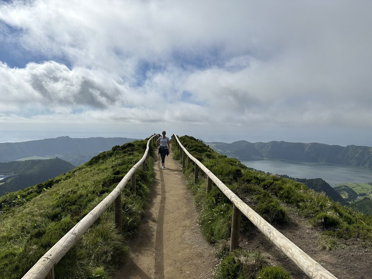 Marcus Alzona tweet media