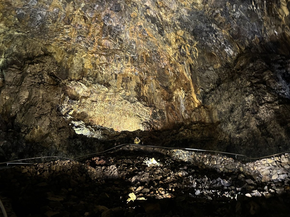 Marcus Alzona tweet media