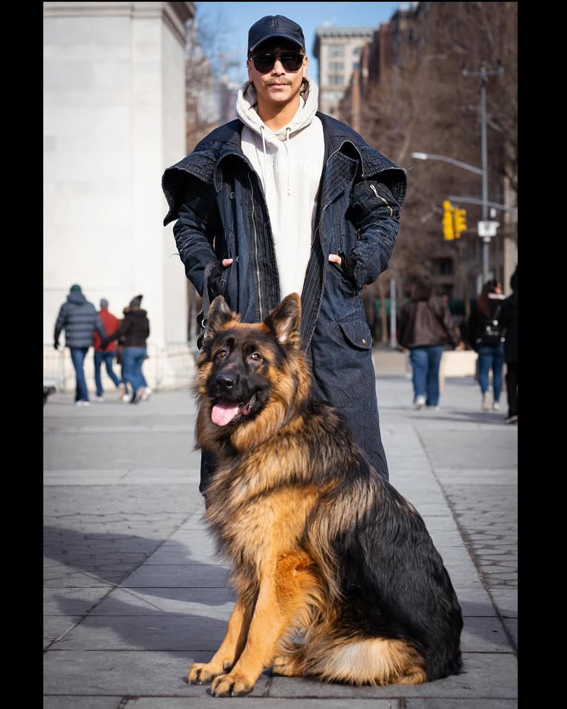 Strolling around the city with Oslo.
.
#dog #germanshepherd #gsd