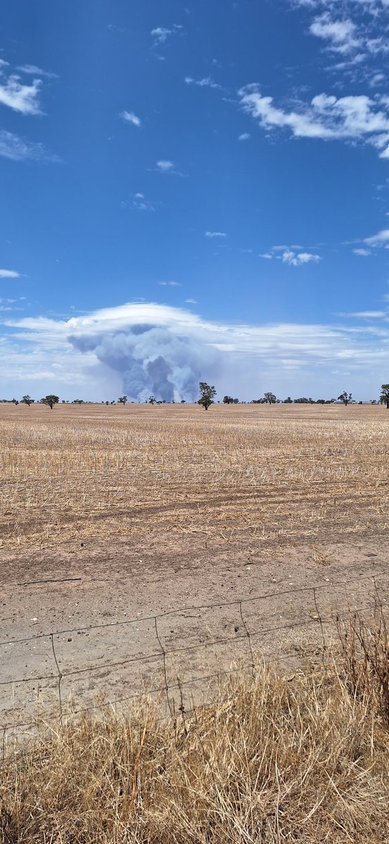 Jonathan Dyer tweet media