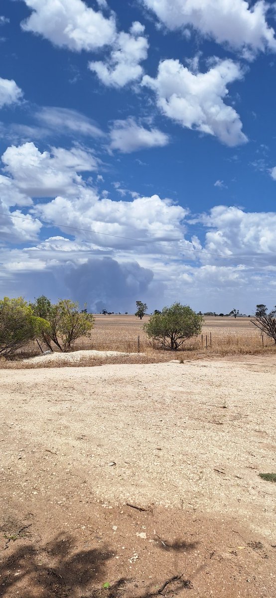 Jonathan Dyer tweet media