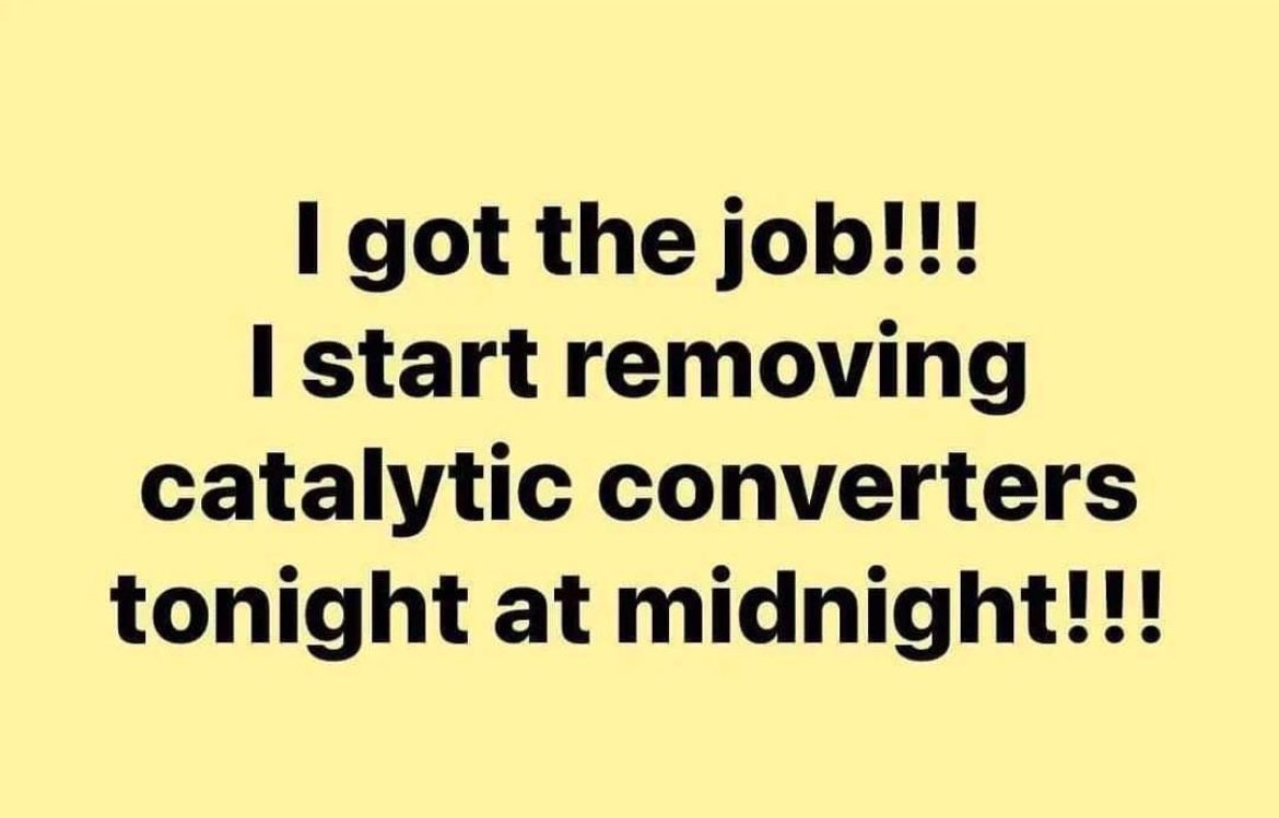 Bad Advice Dog (@badadvicedog) on Twitter photo 