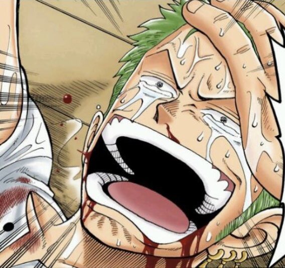 finalxproCut's tweet photo. 【キモすぎるゾロ】

殺人未遂だろ普通に！ https://t.co/djgnyGPaY9