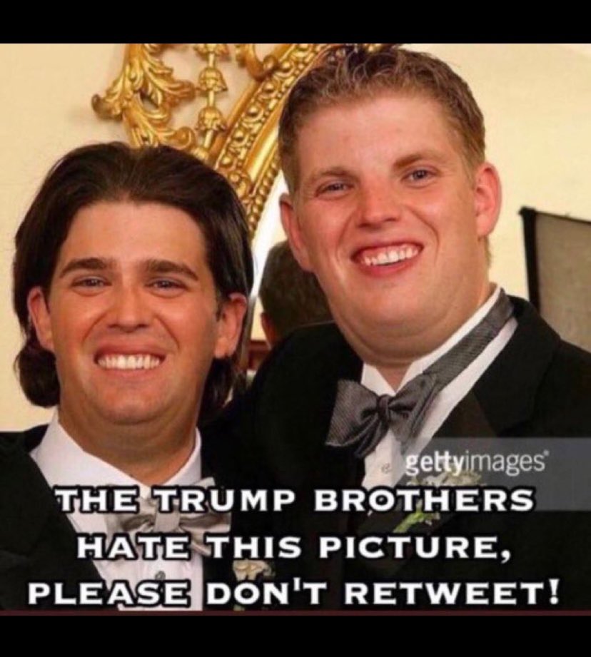 KJNO816's tweet photo. @MzSgtPepper @EricTrump 🏝️🏝️

Ohhh I am sure the world is scared of you and your tooth/gummie twin, Eric 

🏝️🏝️ https://t.co/Xv7edDjtXJ