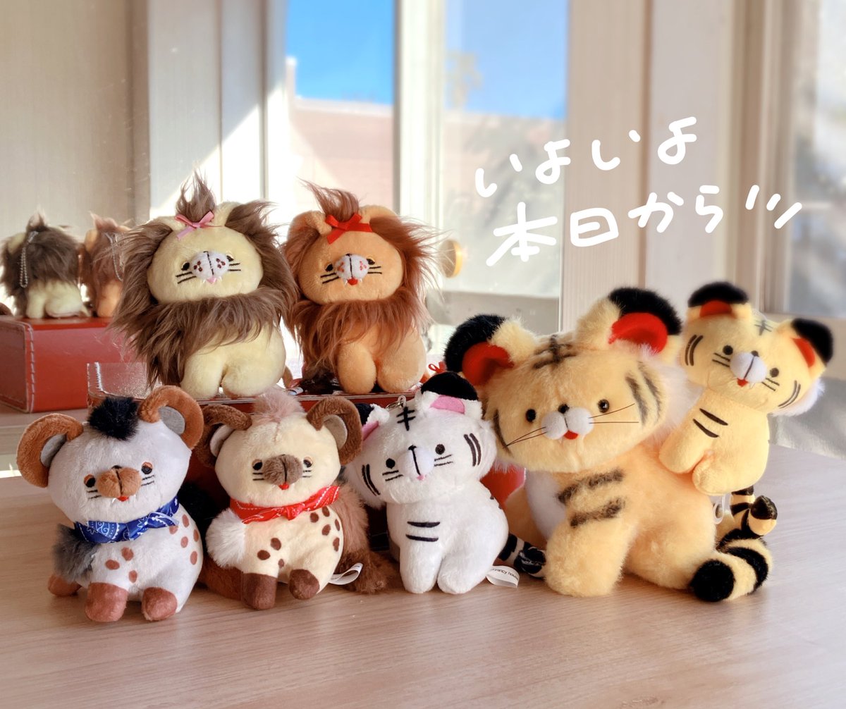 ✨1月27日✨本日よりカプセルトイが順次発売スタートとなります🎉🙌 回