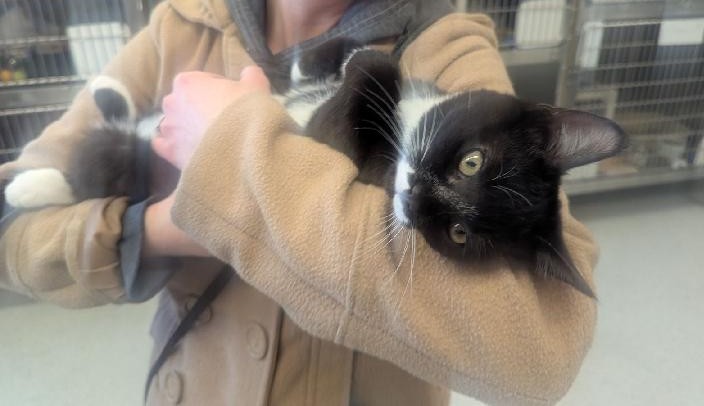 Boze the Library Owl 😴🧙♀️ tweet media