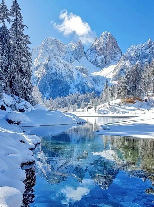 TLeoni311's tweet photo. Good morning ☀️ ❄️ https://t.co/UHeD93c9sr