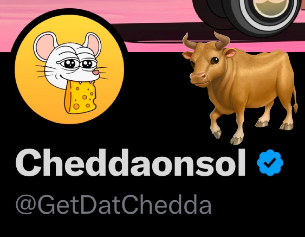 GetDatChedda's tweet image. Ok we go up now. 44% in 24hrs would make stock buyers mouth water, and we just getting started! Chedda is delicious, even the lactose intolerant know that. 

Our year anniversary is coming and we aren’t stopping anytime soon. The bulls are gunna love this cheese. It’s aged so…