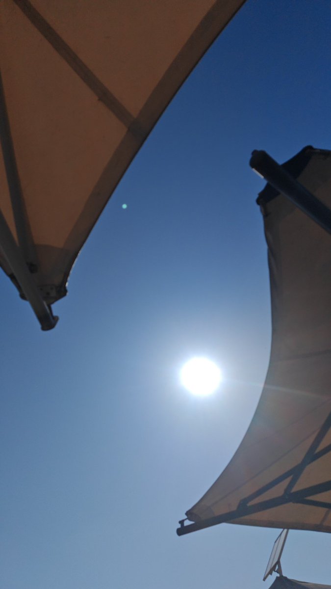 今天广州的阳光太舒服…