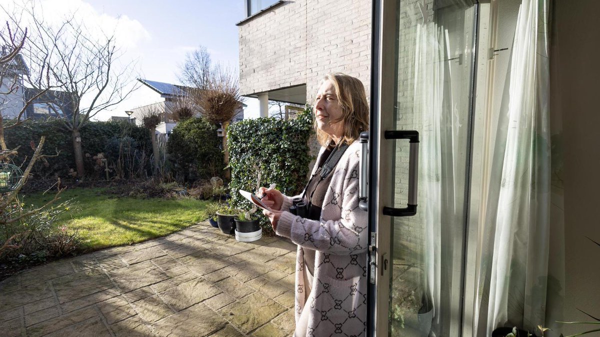 Mussen en roodborstje doen het goed bij vogeltelling. De merel komt niet op het lijstje: net te laat haarlemsdagblad.nl/regio/haarlem/…