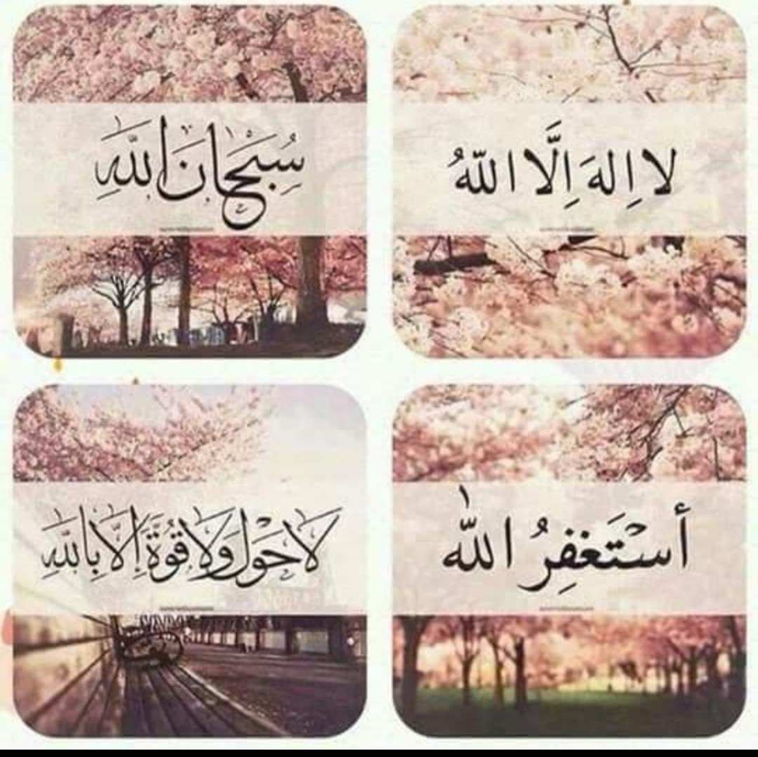 Mohammadfahim68's tweet photo. #Quran

 فدعا ربه اني مغلوب فانتصر

FadaAAa rabbahu annee maghloobun faintasir 

Then he #invoked his #Lord #help me I am #defeated

لا حَوْلَ وَلا قُوَّةَ إِلا بِالله

lā ḥawla wa-lā quwwata ʾillā bi-llāh i

There is no #might nor #power except with #Allah

#ProphetMuhammad https://t.co/xKZBpPoCQQ
