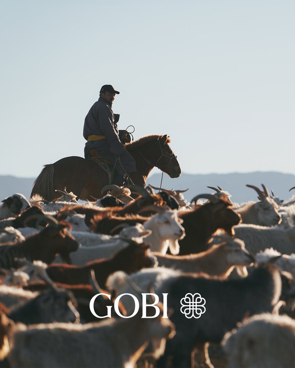 Know Your Cashmere: Authentic Fiber from True Mongolian Nomads
Cashmere, known as "soft gold," has been prized for its rarity and softness since the days of the Silk Road. Traditions continue today in Mongolia, just the same as thousands of years ago, to produce the finest