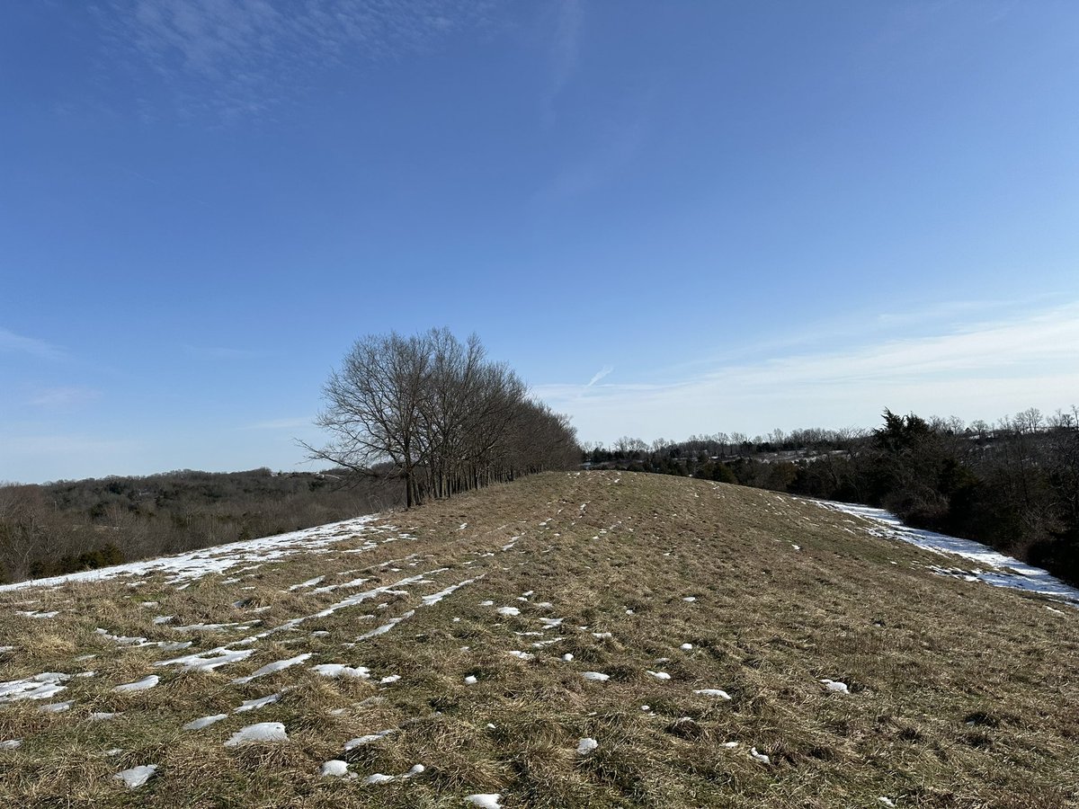 yaboyskey tweet media