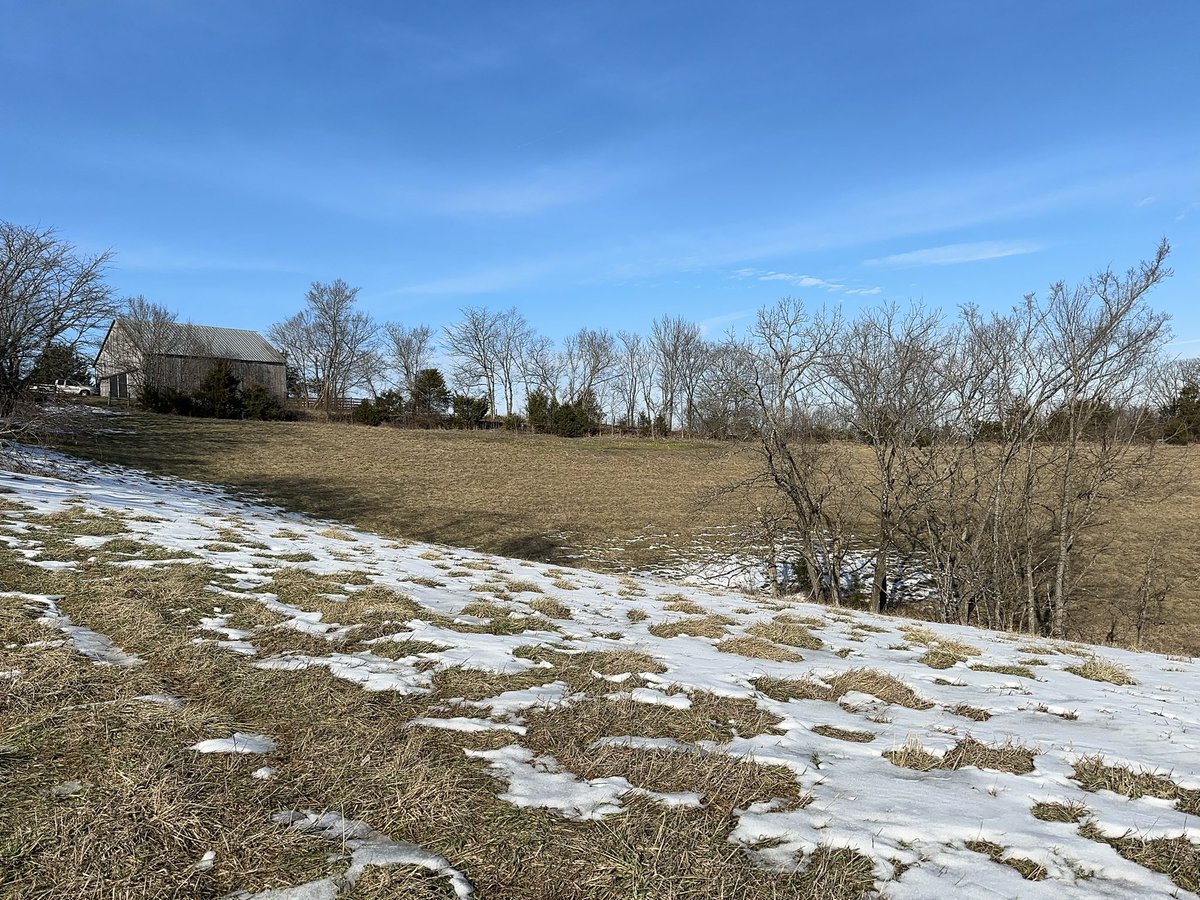 yaboyskey tweet media