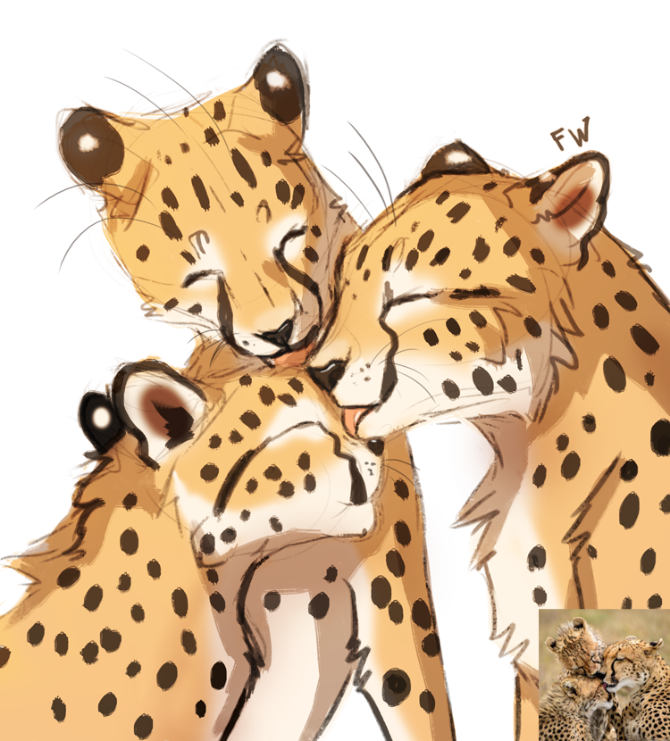 More examples
Please RT or l1ke upper post.   ♡