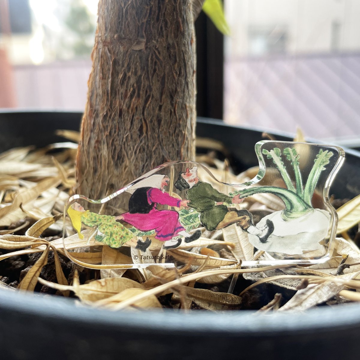 Fukuinkan_PR's tweet photo. ロングセラー絵本『おおきなかぶ』が、なんと200刷に到達🎉 これを記念して、植木鉢などに挿して使えるアクリルピックと、ポストカード2枚セットを20名様にプレゼントいたします✨

🎁応募方法
@Fukuinkan_PR
をフォロー＆この投稿をリポスト

引用して
〈『おおきなかぶ』の思い出〉
を投稿すると当選確率up✨

🎁締切
2/6（木）23:59

🎁応募規約
https://t.co/GFOhGdTZRW