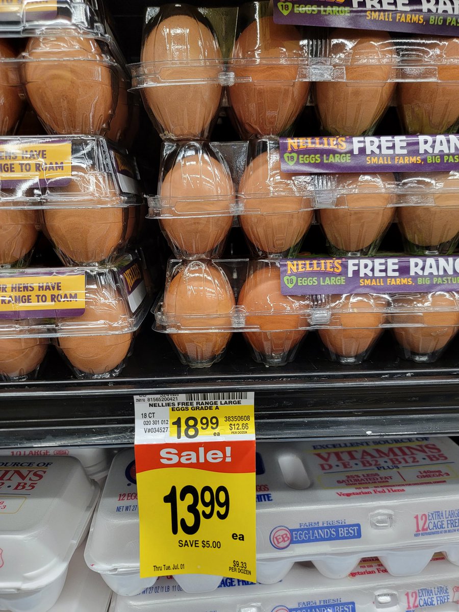 abuazeem's tweet photo. Before you buy Greenland or go to Mars, bring the price of eggs down you bastards.
#Mars #GreenlandIsNotForSale #MuskOnMars #TrumpIsUnfitForOffice #Trump #prices #eggs https://t.co/aVTa3z3PEf