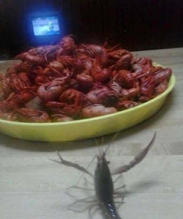 DearLadyMaria's tweet photo. They cooked his friends

😿😿😿 https://t.co/9MT6KakINp