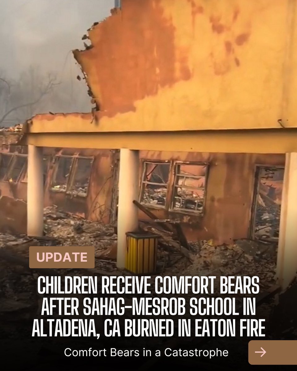 Comfort Bears tweet media