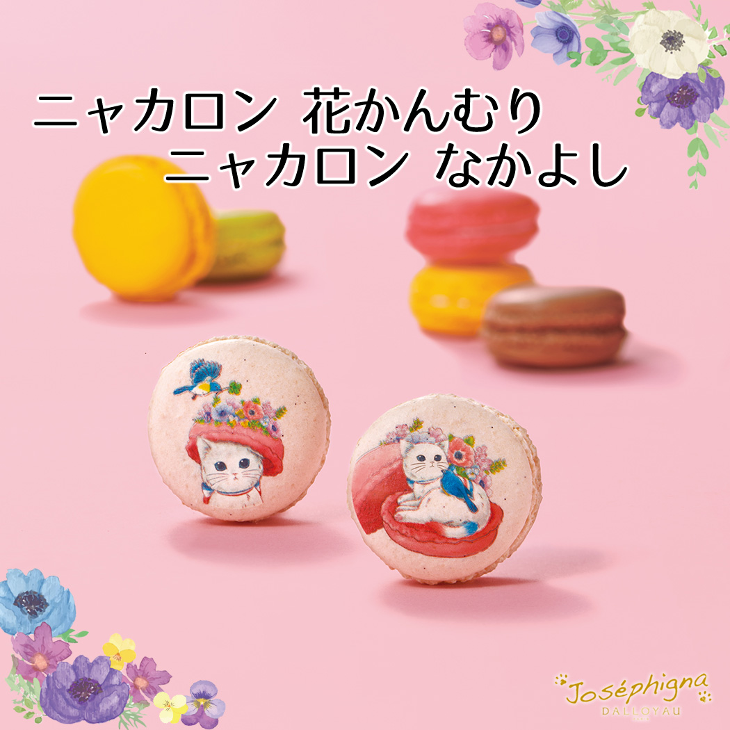 🌸🐈＼ジョセフィーニャのマカロン！／🐈🌸 🐾花かんむり ニャカロン