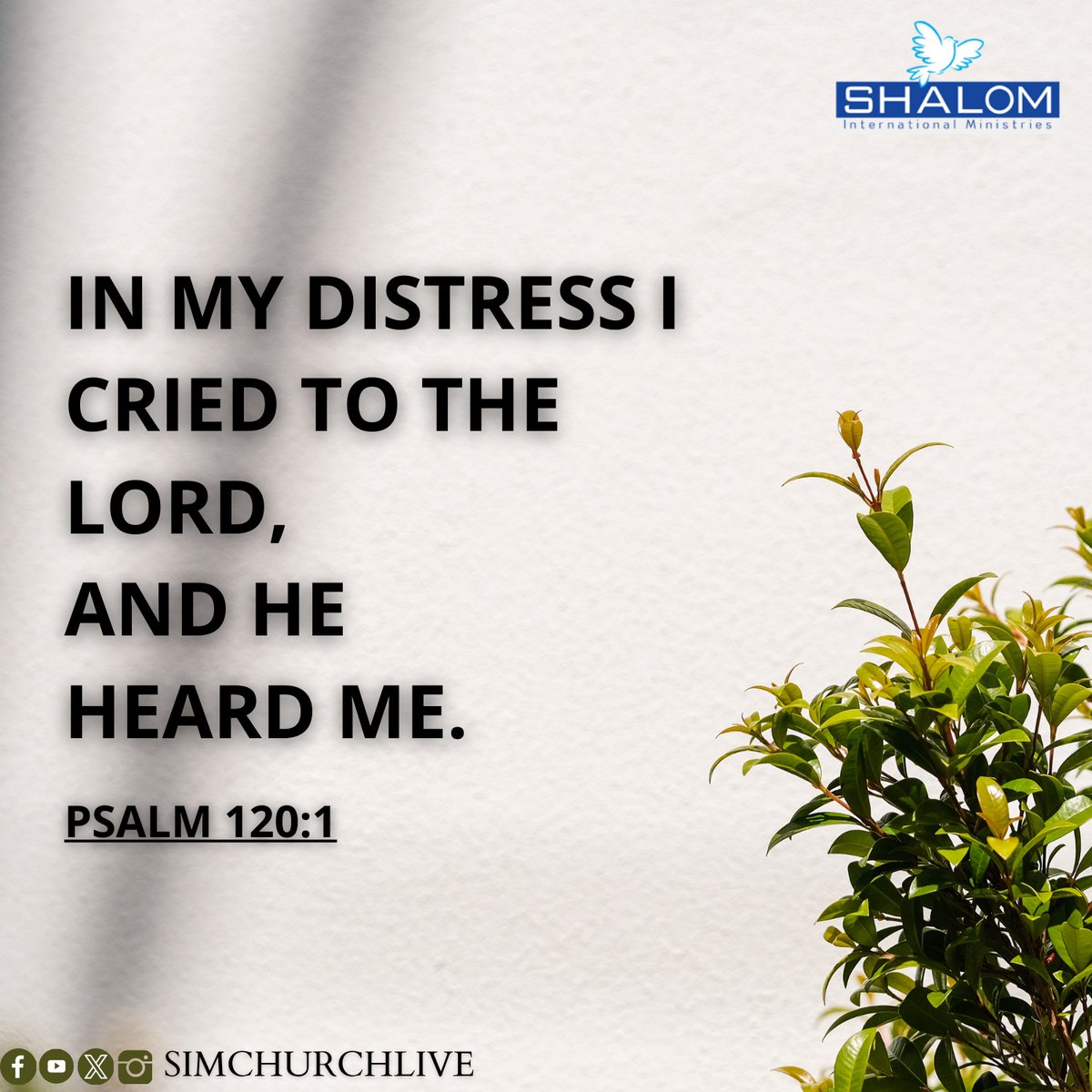 SIMChurchLive's tweet photo. Today #Verse https://t.co/wipVm0y5sT