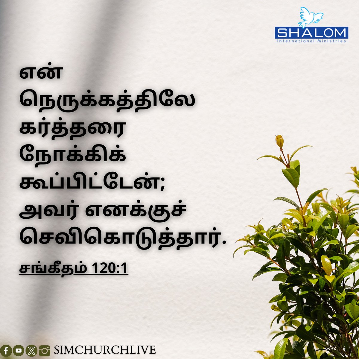 SIMChurchLive's tweet photo. Today #Verse https://t.co/wipVm0y5sT