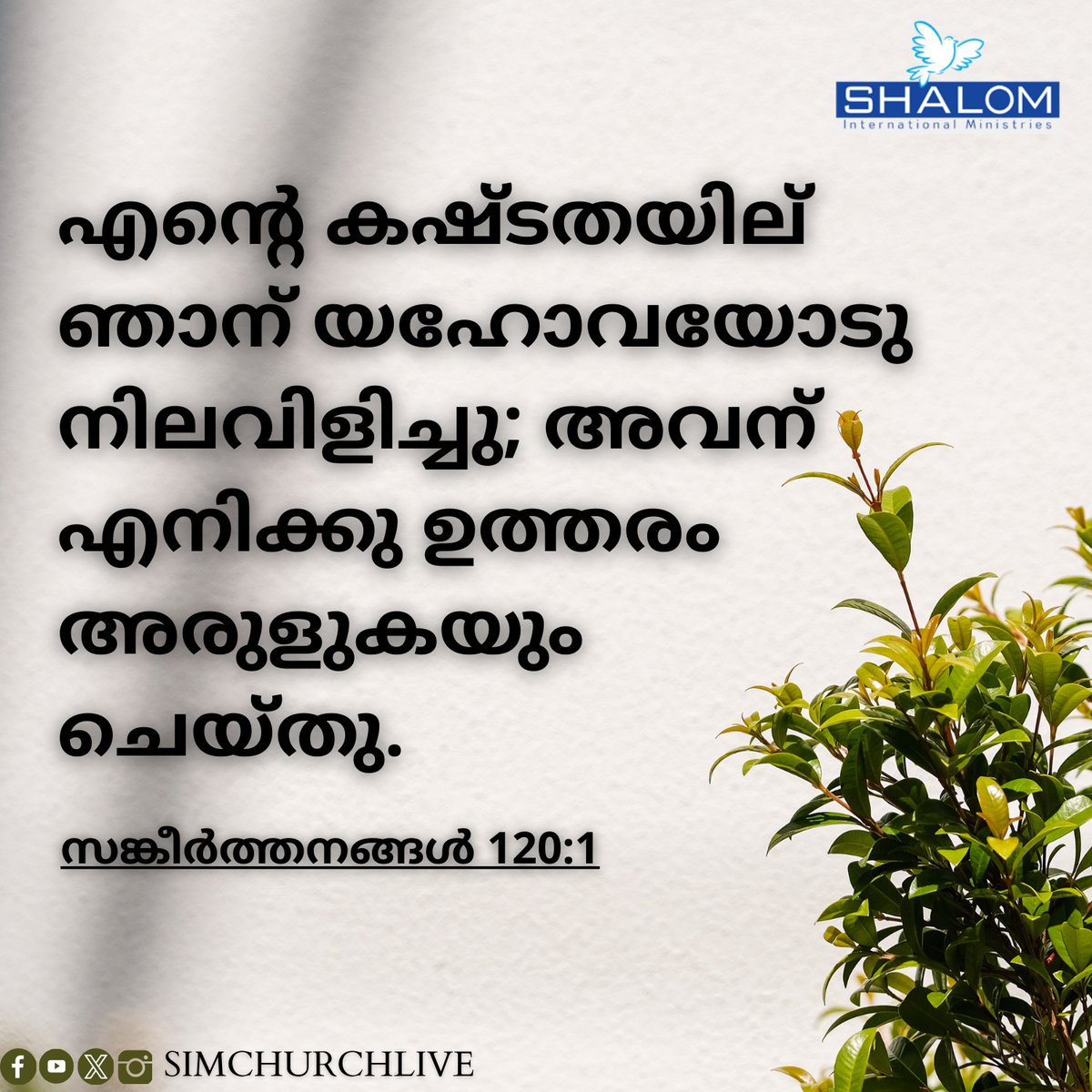 SIMChurchLive's tweet photo. Today #Verse https://t.co/wipVm0y5sT