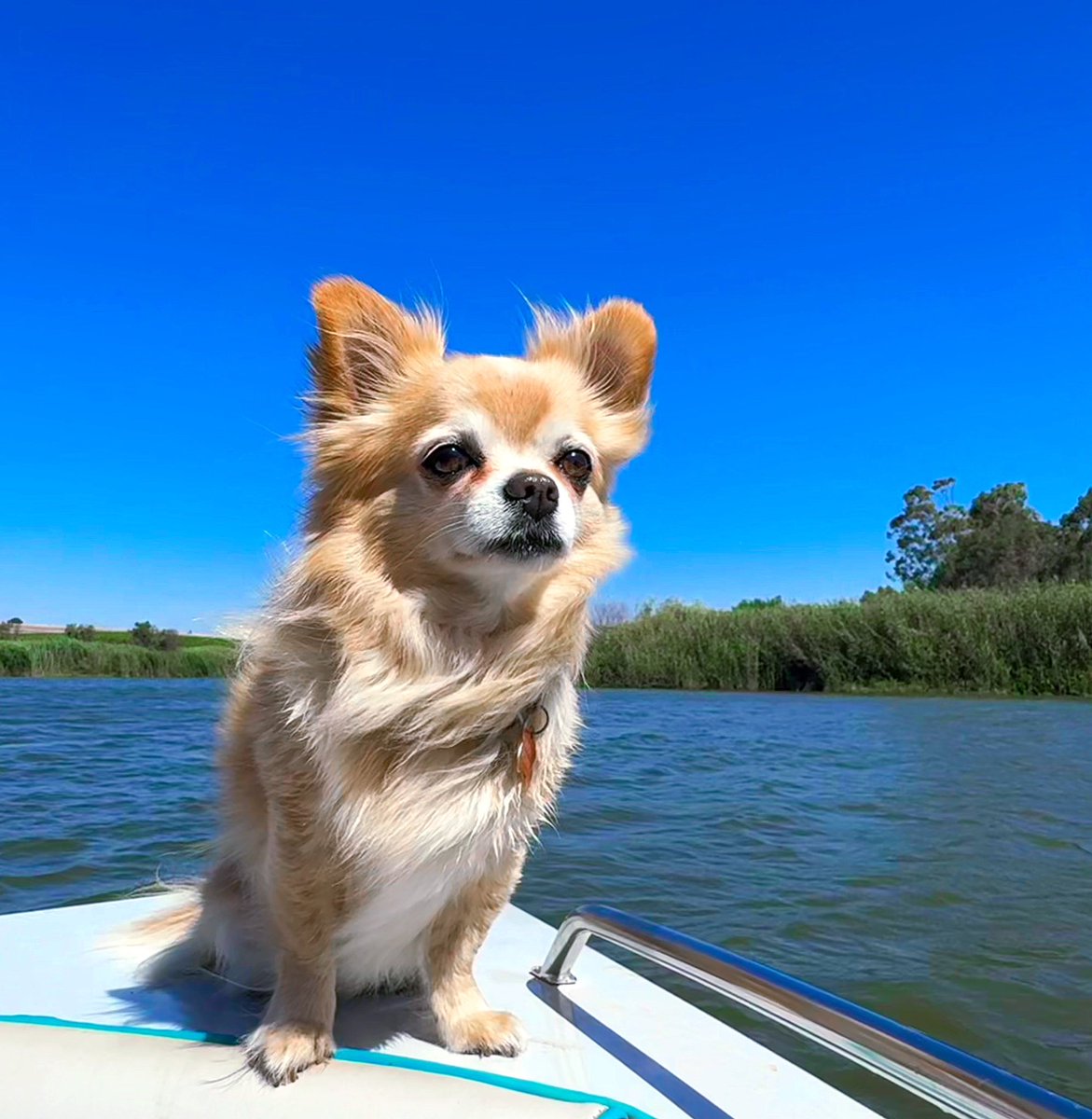 roxy_joubert's tweet photo. Just dam good vibes all day long. 👙 🚤☀️
#Outdoors #NatureEscape #onthewater #WeekendVibes #DamLife #WaterViews #OutdoorAdventures #janaury #2025 https://t.co/uE6y9l2GBR