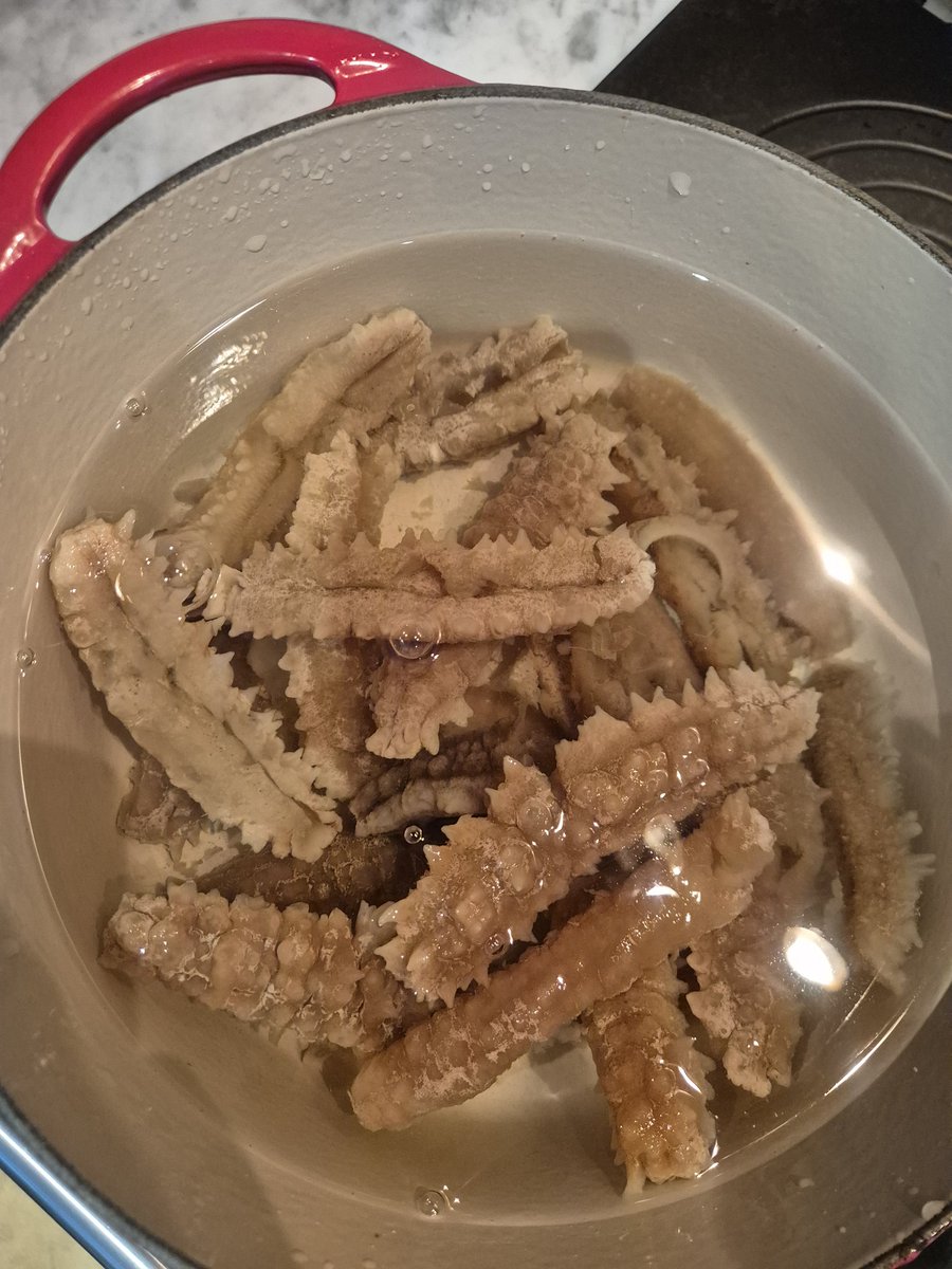 One of the 8 must have dishes for Chinese New Year celebrations are sea cucumber

It takes on average 4 days to get ready, as it needs to be rehydrated, clean and boiled with fresh ginger at least 3 times, with water change in between then the cavity is spotlessly clean by