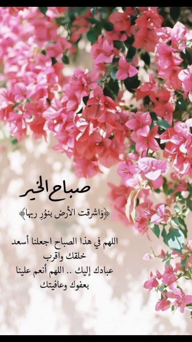 AqaratVib's tweet photo. #المدينة_المنورة 
#صباح_الخير 
#صباح_الاجواء_الحلوه 
#صباح_الخير_والسعاده_للجميع https://t.co/wpt2fHTvtU