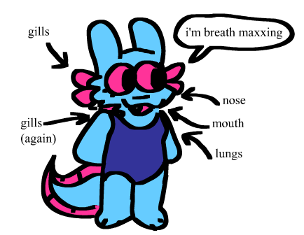 soapguzzler's tweet photo. she has every single way of gathering oxygen possible https://t.co/tXMDWdryUo