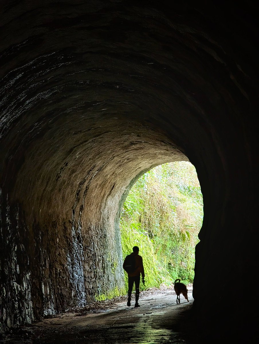 Vayas a donde vayas, lo bueno que hay en tí, no cambiará.
.
📍 Valle Leitzaran