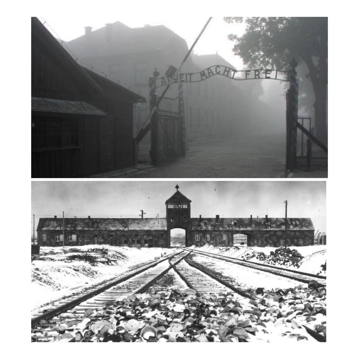 Today marks the 80th anniv. of the liberation of #Auschwitz. I visited the concentration camp many years ago, guided by a survivor. He said he cried so many tears, he had no tears left to cry. 
We must do everything to stop war, barbarity &amp; such human tragedies. <a href="/AuschwitzMuseum/">Auschwitz Memorial</a>