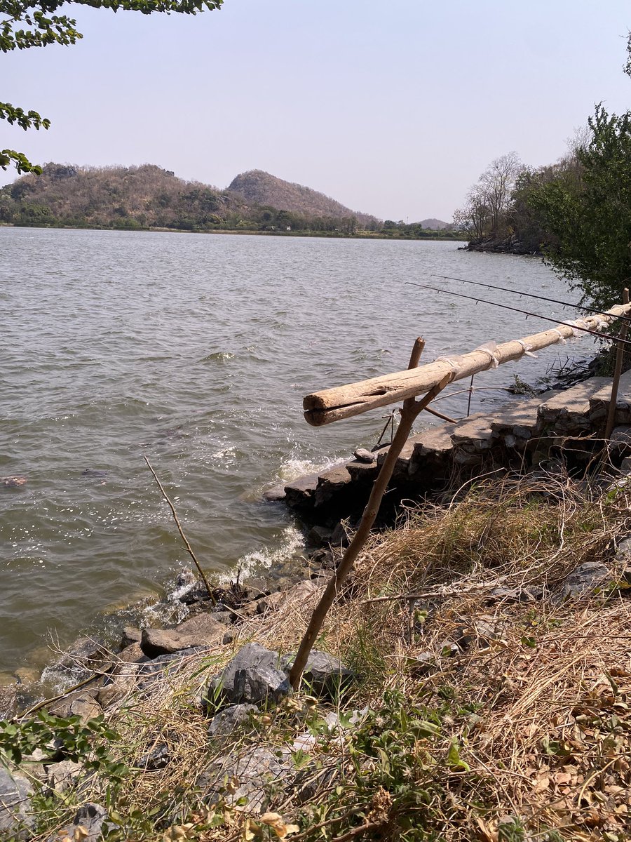 ใครว่างมานั่งเล่นด้วยกันได้นะ