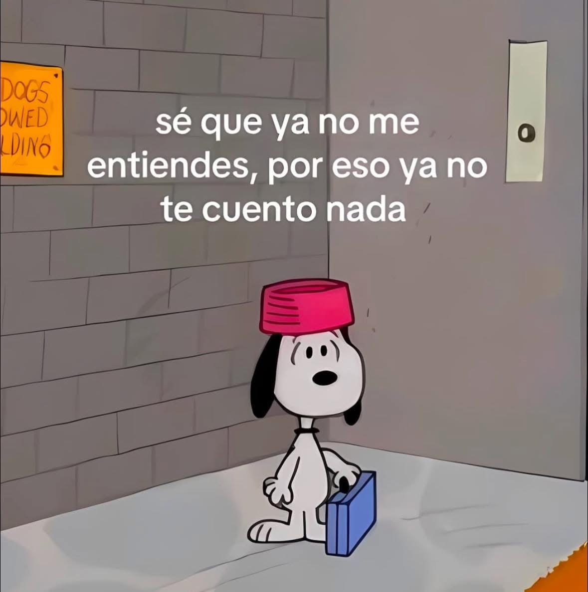 Guarromantico_'s tweet photo. No me entiendes. https://t.co/bmqNZuetRM