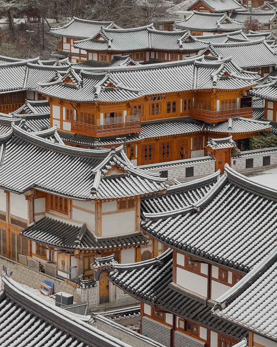 갑자기 선물처럼 눈이 내린 오늘